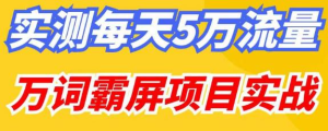 百度万词霸屏实操项目引流课,30天霸屏10万关键词网赚项目-副业赚钱-互联网创业-资源整合诗人资源