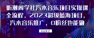 听潮阁学社汽水音乐项目实操课全流程,2023超级蓝海项目,汽水音乐推广,0粉丝也能做!网赚项目-副业赚钱-互联网创业-资源整合诗人资源